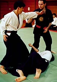 Japan. Tokyo, Iokagama, Kamakura, Osaka. A course leading by I.Linder in different clubs and federations for the members of Jiu-Jitsu, Akido, Aki-Jitsu, Karate