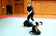 Japan. Tokyo, Iokagama, Kamakura, Osaka. A course leading by I.Linder in different clubs and federations for the members of Jiu-Jitsu, Akido, Aki-Jitsu, Karate